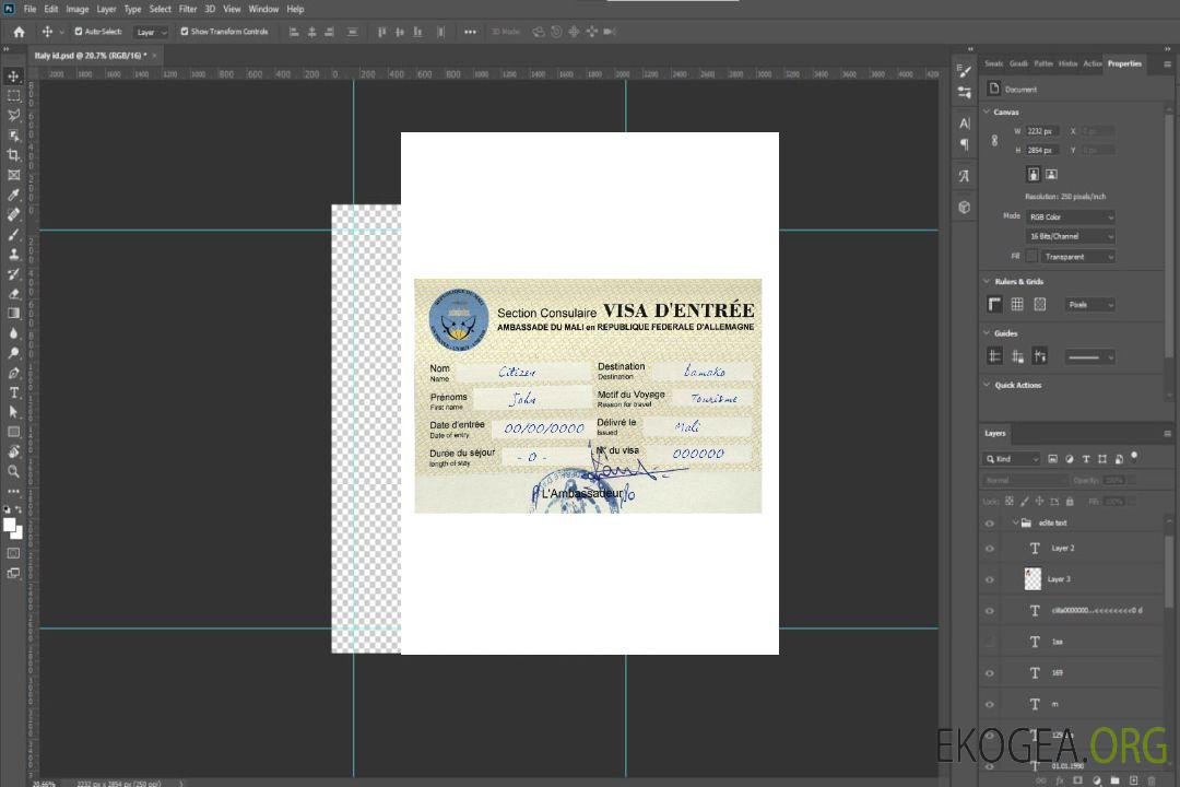 Visa de voyage pour la République du Mali template